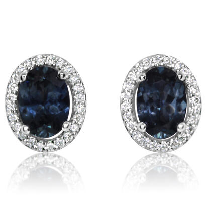 14K White Gold Montana Blue Sapphire/Diamond Earrings 14K White Gold Montana Blue Sapphire/Diamond Earrings