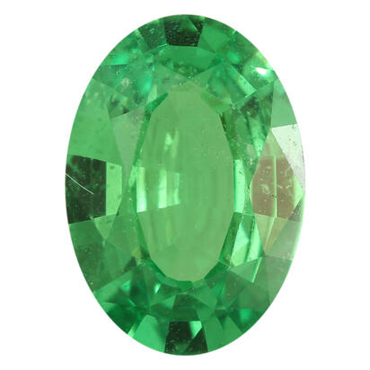 8.44x5.97 Oval Tsavorite Garnet (1.10 ct) 8.44x5.97 Oval Tsavorite Garnet (1.10 ct)