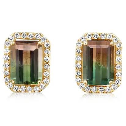 14K Yellow Gold Bi-Color Tourmaline/Diamond Earrings<br>EH2OC250235C<div class='big'>$3,495.00</div>