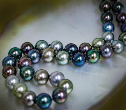 8-10.1mm 45pc Near Round Tahitian Multi Color Pearl Strand with 14K White Gold Clas 8-10.1mm 45pc Near Round Tahitian Multi Color Pearl Strand with 14K White Gold Clas