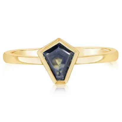 14K Yellow Gold Pentagon Cut Montana Sapphire Ring | RMSPT87067CI