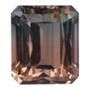 16.20x13.94x11.46 Octagon Bi-Color Tourmaline | H2OC8002205C