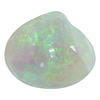 Clam Shell Australian Opal | NLCS05003549
