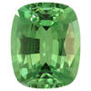 11.1x9 Cushion Tsavorite Garnet | V0CU0200459C